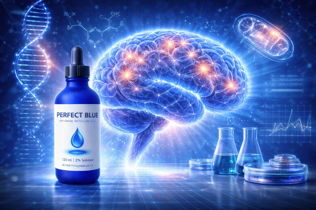 A fun image of a methylene blue bottle, a brain, and a mitochondria